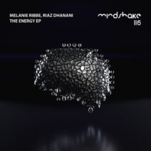 Riaz Dhanani, Melanie Ribbe - The Energy EP [Mindshake Records]