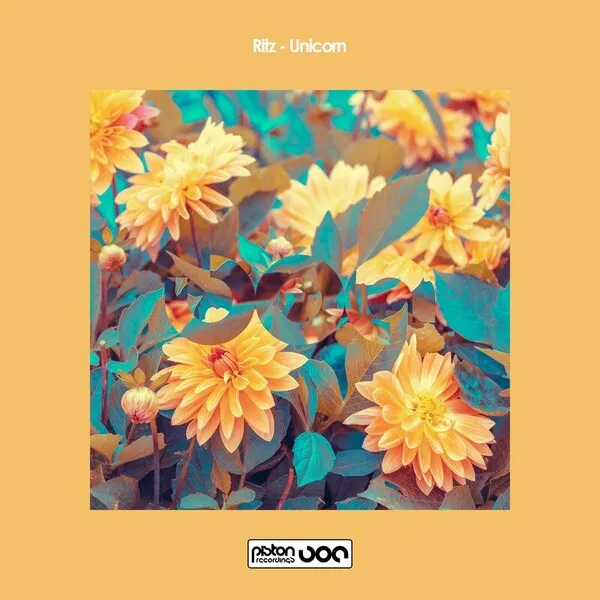 Ritz - Unicorn [Piston Recordings ]