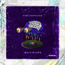 Soundnine - Because [Disco Groove Rec]