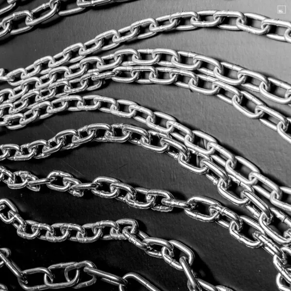 Third Culture (USA), Curses - Lost & Found [Octopus Recordings]