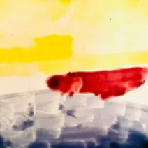 Tigerskin - City Nights [Forms & Figures]