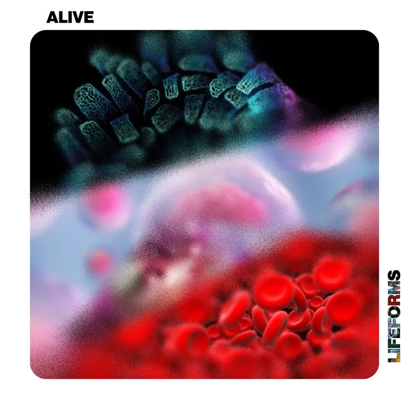 Tim Engelhardt, Solique – Alive