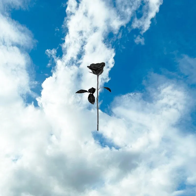 Tomy Wahl - Nuremberg [Black Rose Recordings]