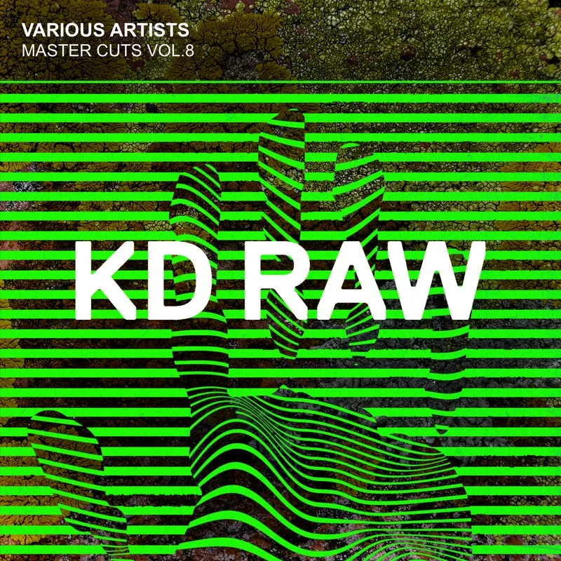 V.A. - Master Cuts Vol.8 [KD RAW]