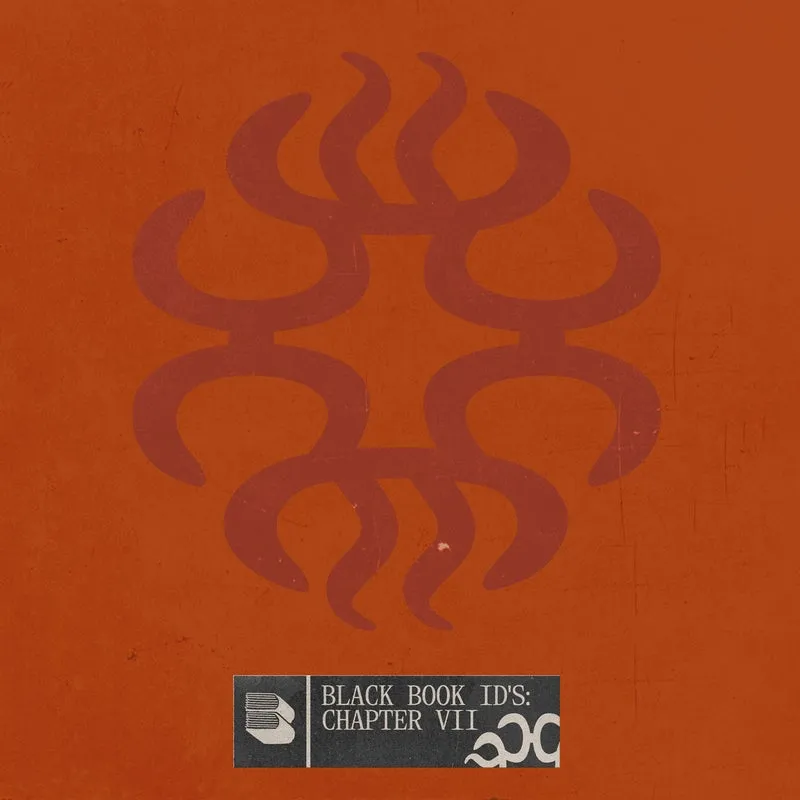 VA - Black Book ID's. Chapter 7 [Black Book Records]