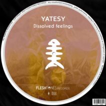 Yatesy - Dissolved Feelings [Fleshtones]