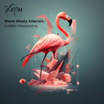 waste wisely, Emerson. - Sudden Obsessions [Laguna Records]