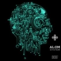AL_OM - System [Connections]