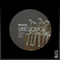 Bilevicius - Waiting for You [Estribo Records]