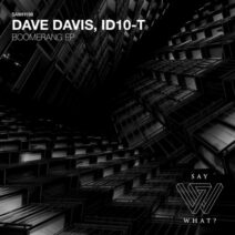 Dave Davis, ID10-T - Boomerang [Say What_]
