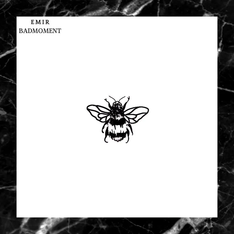 Emir - Badmoment [Not So Serious Deep]