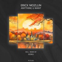 Erick Mozllin - Anything U Want [Polyptych Limited]