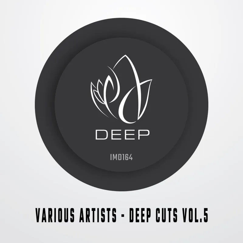 Luigi D'Alterio, Brothers in Soul, Nestor Arriaga, Alvaro Ceballos - Innocent Music Deep Cuts, Vol. 5 [Innocent Music]