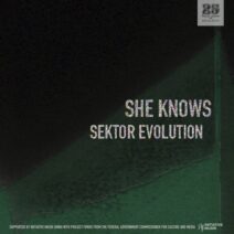 She Knows - Sektor Evolution [Bar 25 Music]
