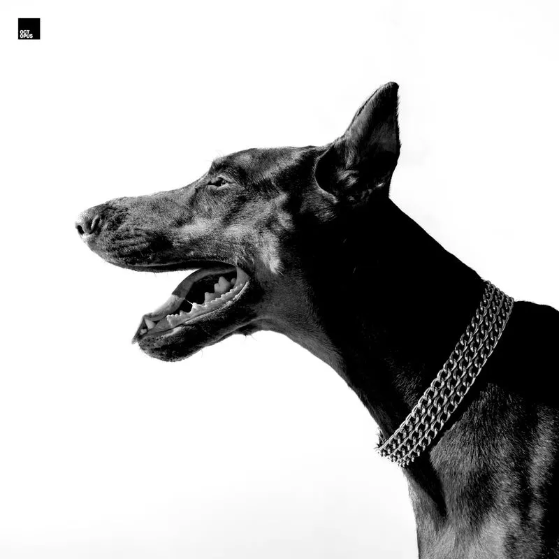 Sian - The Abyss [Octopus Recordings]