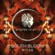 South Bloom - Midas [Sounds Of Sirin]