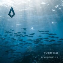 V.A. - Purified Fragments XX [Purified Records]