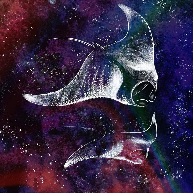 V.A. - Waterdrop EP - Part 3 [Movida Records]