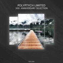Various Artists - 300_ Anniversary Selection [Polyptych Limited]