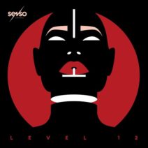 Various Artists - Senso Sounds Level 12 [Senso Sounds]