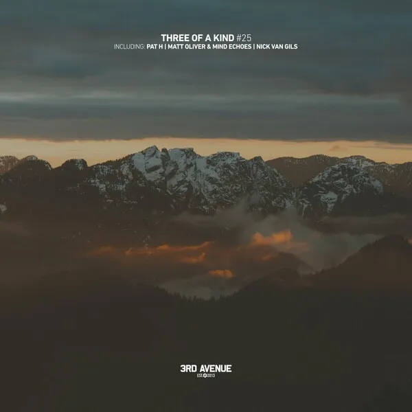 Various Artists - Three of a Kind #025 [3rd Avenue]