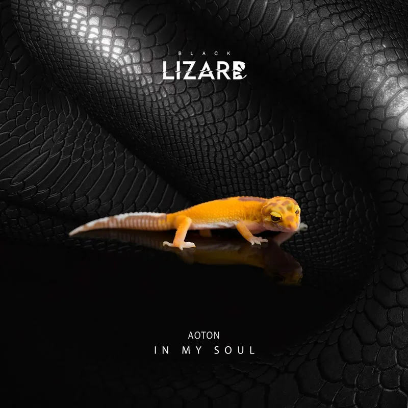 AOTON - In My Soul [Black Lizard Records]