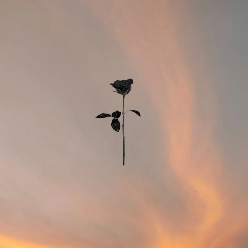 Hidden Empire – Lonely Terrace