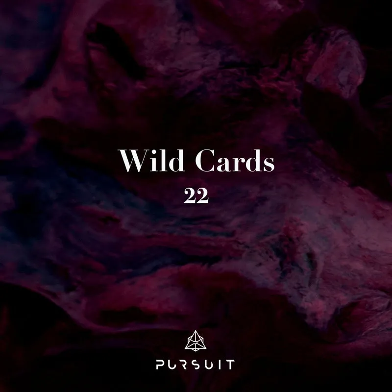 Maxim Sheremetev, BEIL, Bagagee Viphex13 - Wild Cards 22 [Pursuit]