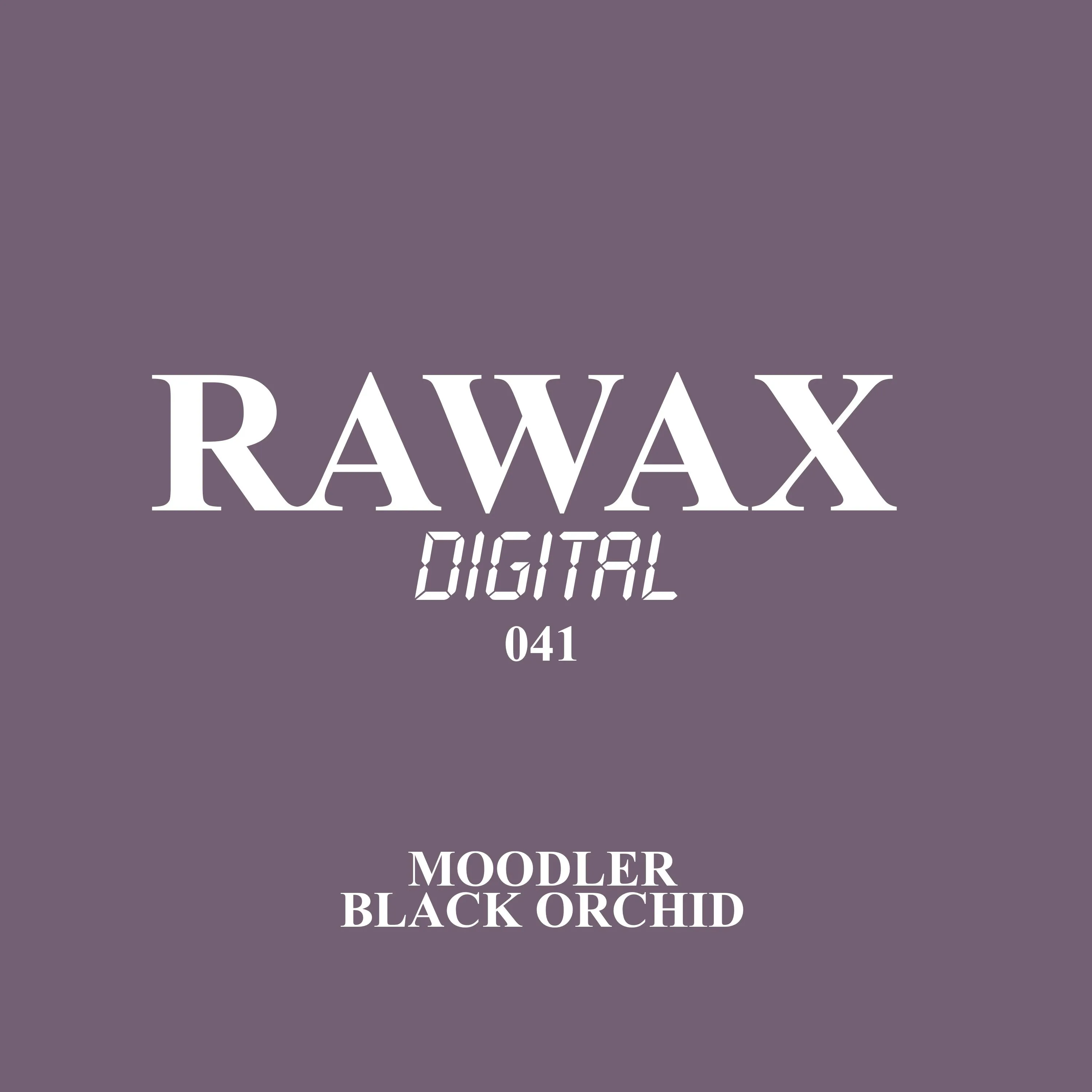 Moodler - Black Orchid (Original Mix) [Rawax]