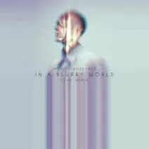 Moritz Hofbauer - In A Blurry World (Teho Remix) [Fckng Serious]