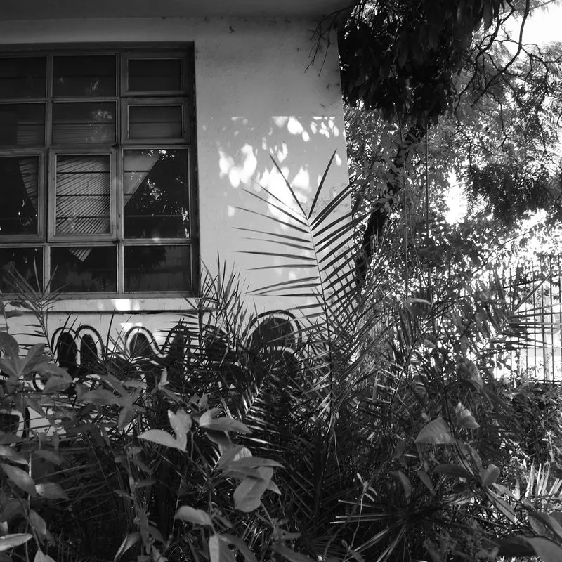 Sojo, Waxve - Ede le roni [Figura Negra]