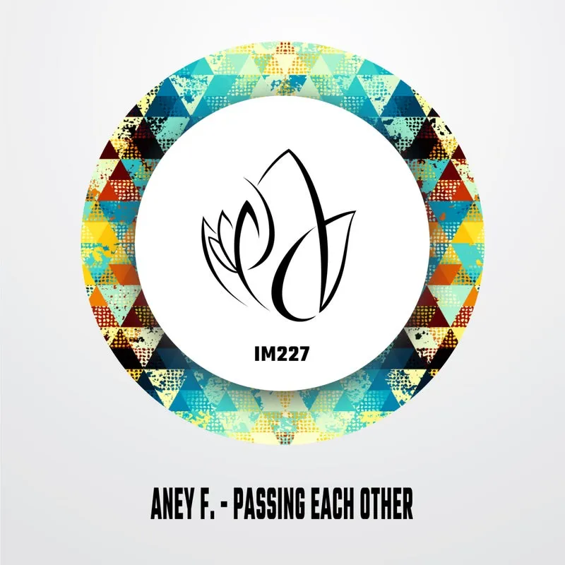 Aney F. - Passing Each Other [Innocent Music]