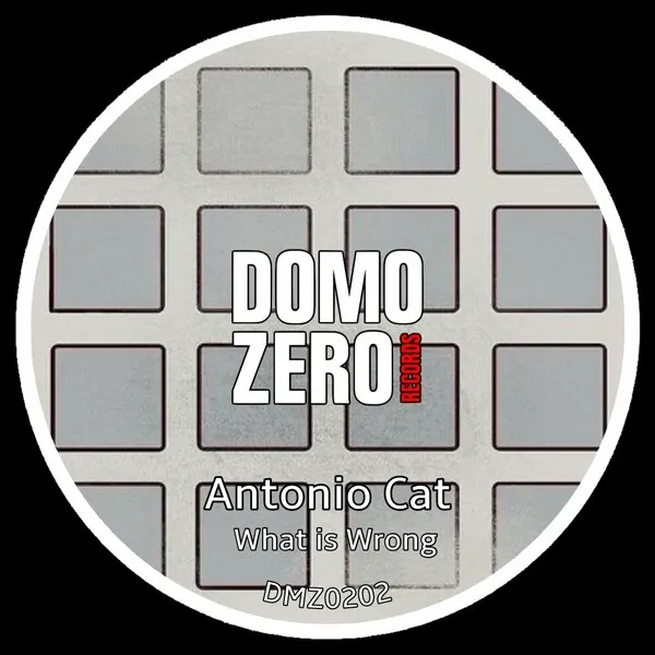 Antonio Cat - What is wrong [Domozero]