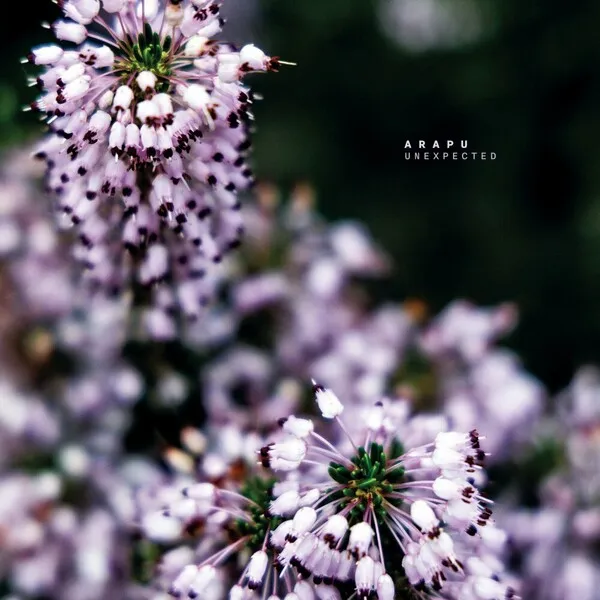 Arapu - Unexpected [Cadenza]