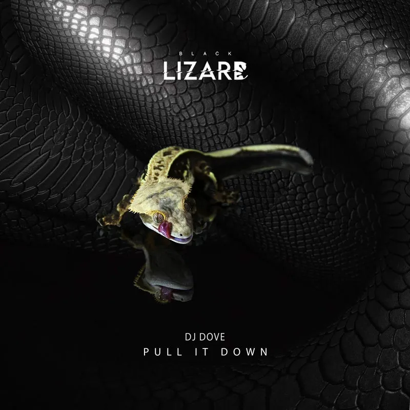 DJ Dove - Pull It Down [Black Lizard Records]