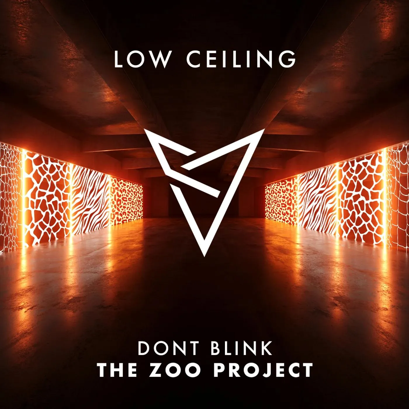 DONT BLINK, J Boogie Bailey - THE ZOO PROJECT [LOW CEILING]