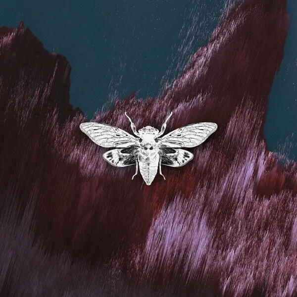 Daivic – Spaceship