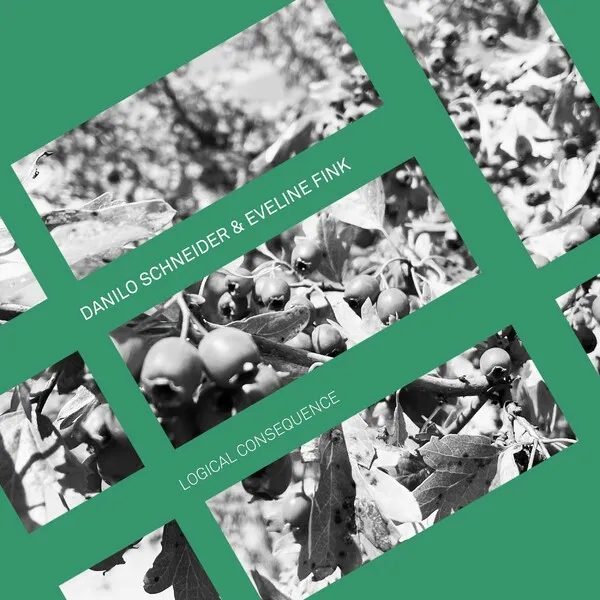 Danilo Schneider, Eveline Fink - Logical Consequence [ENOUGH! MUSIC]