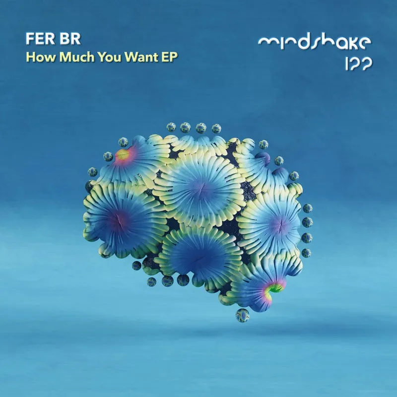 Fer BR - How Much You Want EP [Mindshake Records]