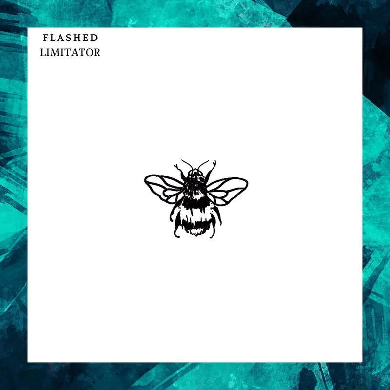 Flashed - Limitator [Not So Serious Deep]