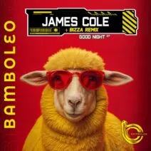 James Cole - Good Night EP [Bamboleo]
