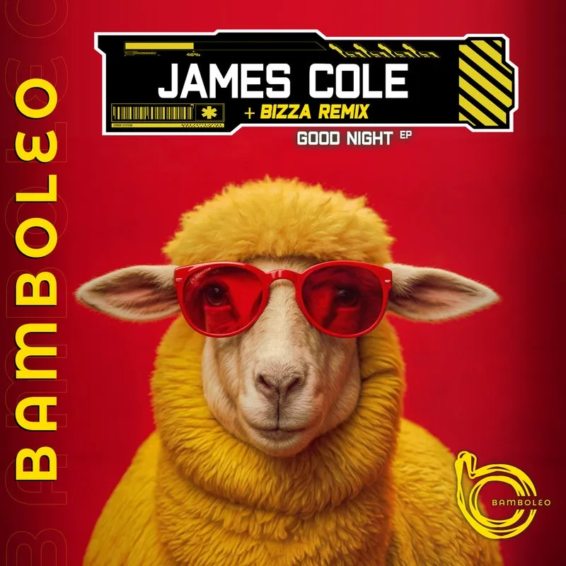 James Cole - Good Night EP [Bamboleo]
