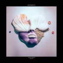 Javier Labarca – Sentimiento