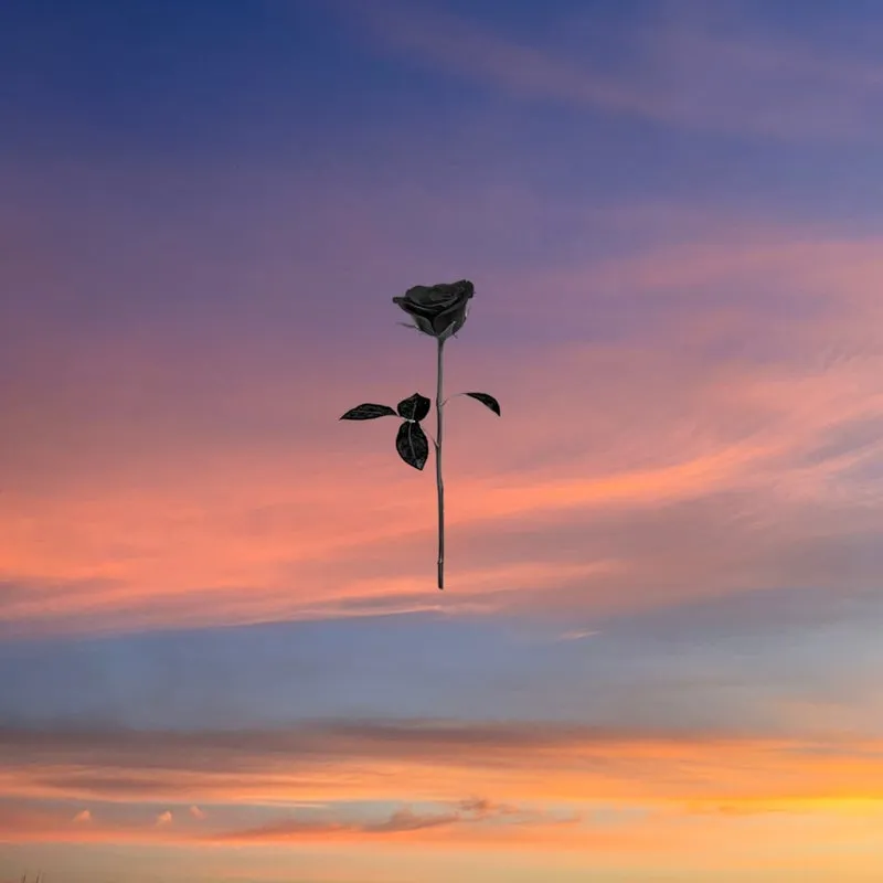 Joone, CENKK – Paradise