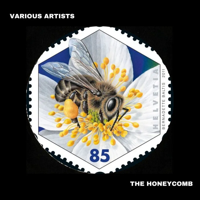 VA - The Honeycomb [Not So Serious]