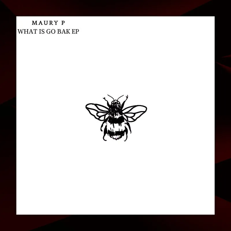 Maury P - What Is Go Bak EP [Not So Serious Deep]