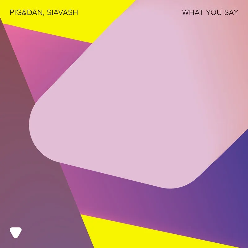 Pig&Dan, Siavash – What You Say