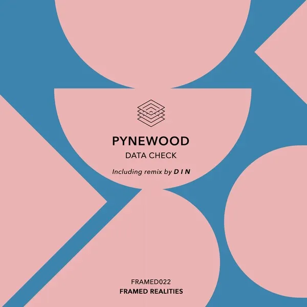 Pynewood - Data Check [Framed Realities]