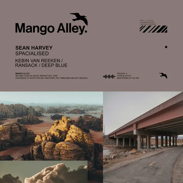 Sean Harvey - Spacialised [Mango Alley]