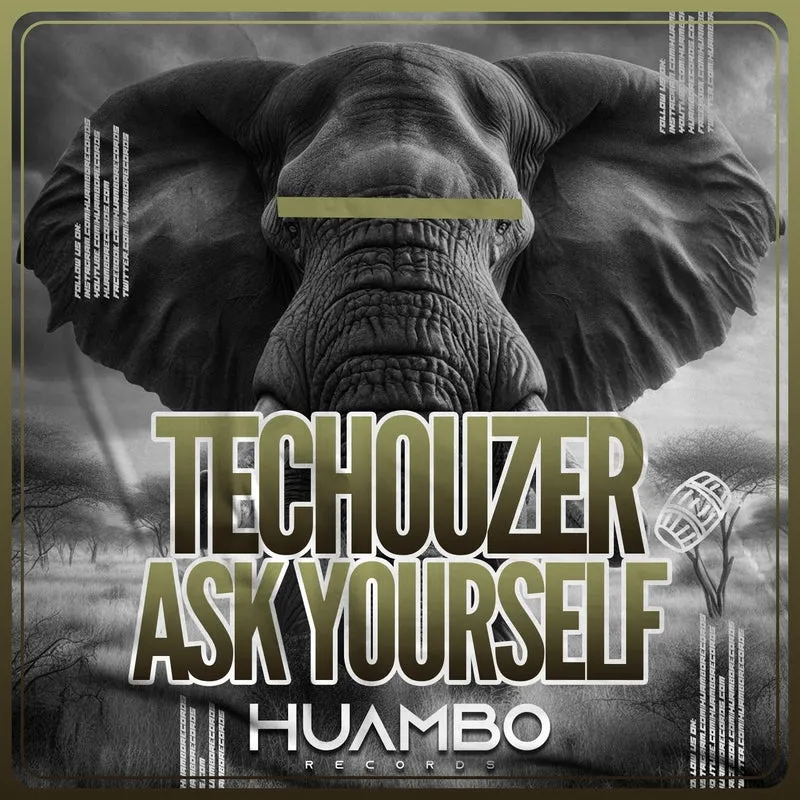 Techouzer - Ask Yourself [Huambo Records]